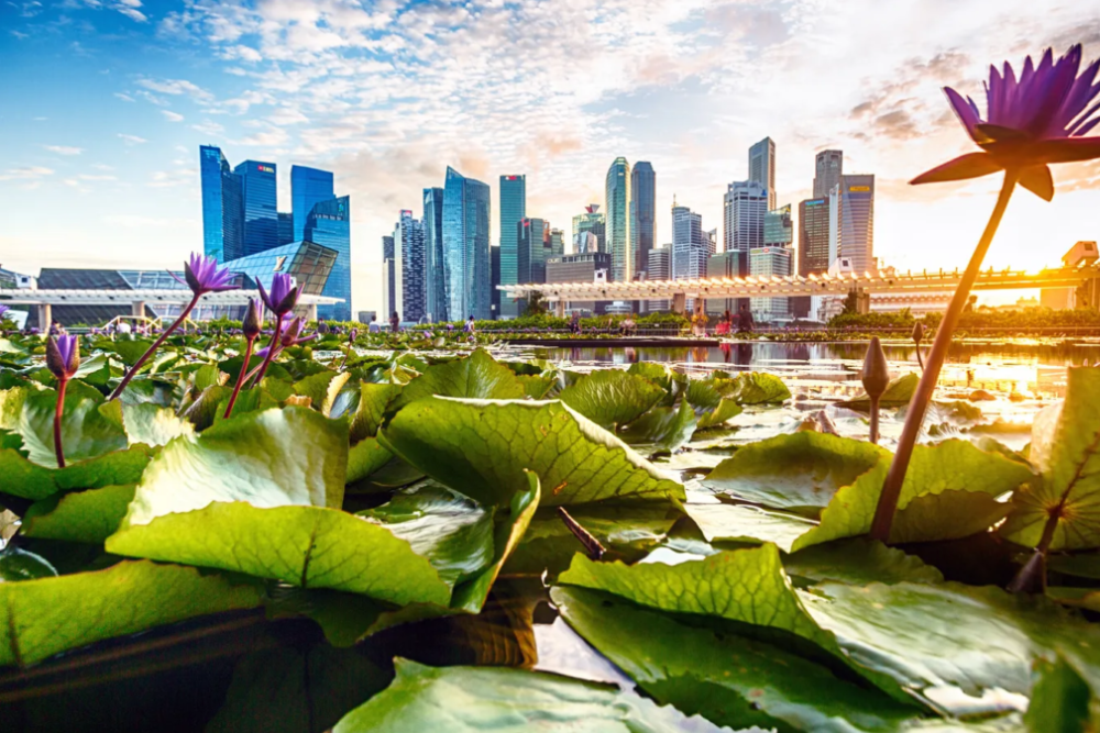 The World’s “Top Ten” Green Cities