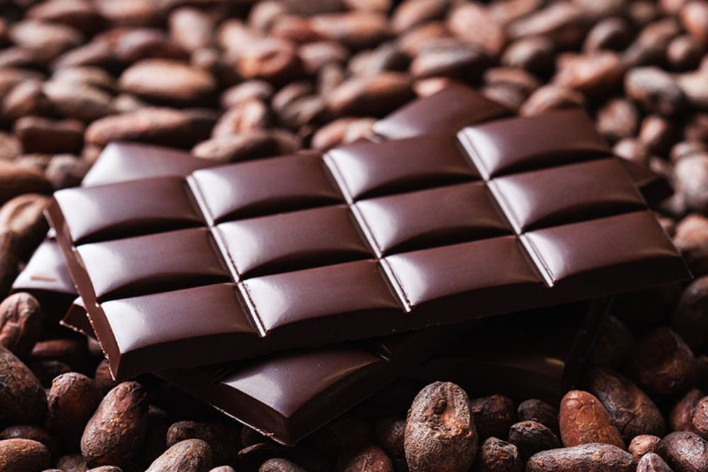 The History of Chocolate